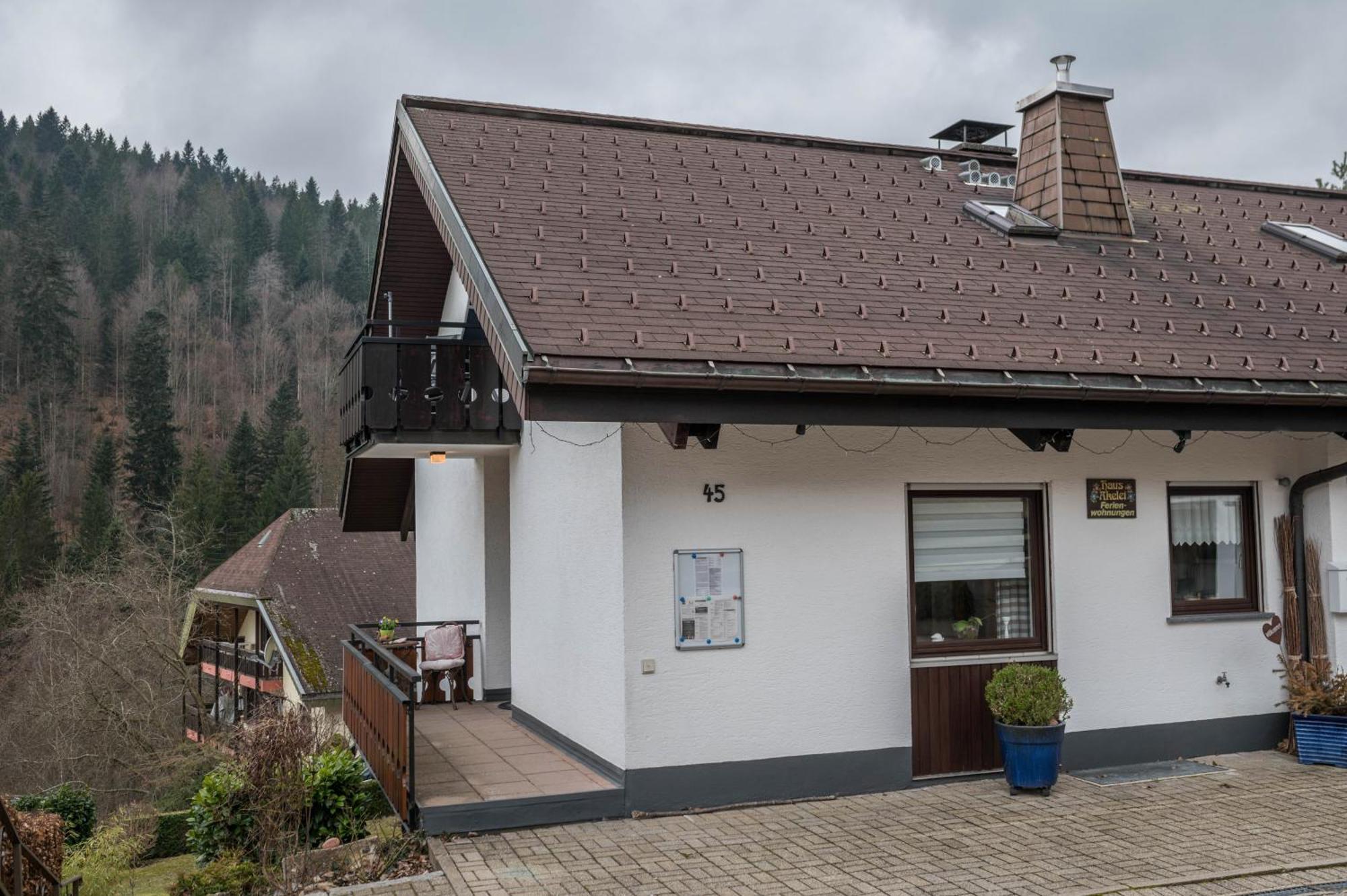 דירות טודמוס Haus Akelei מראה חיצוני תמונה