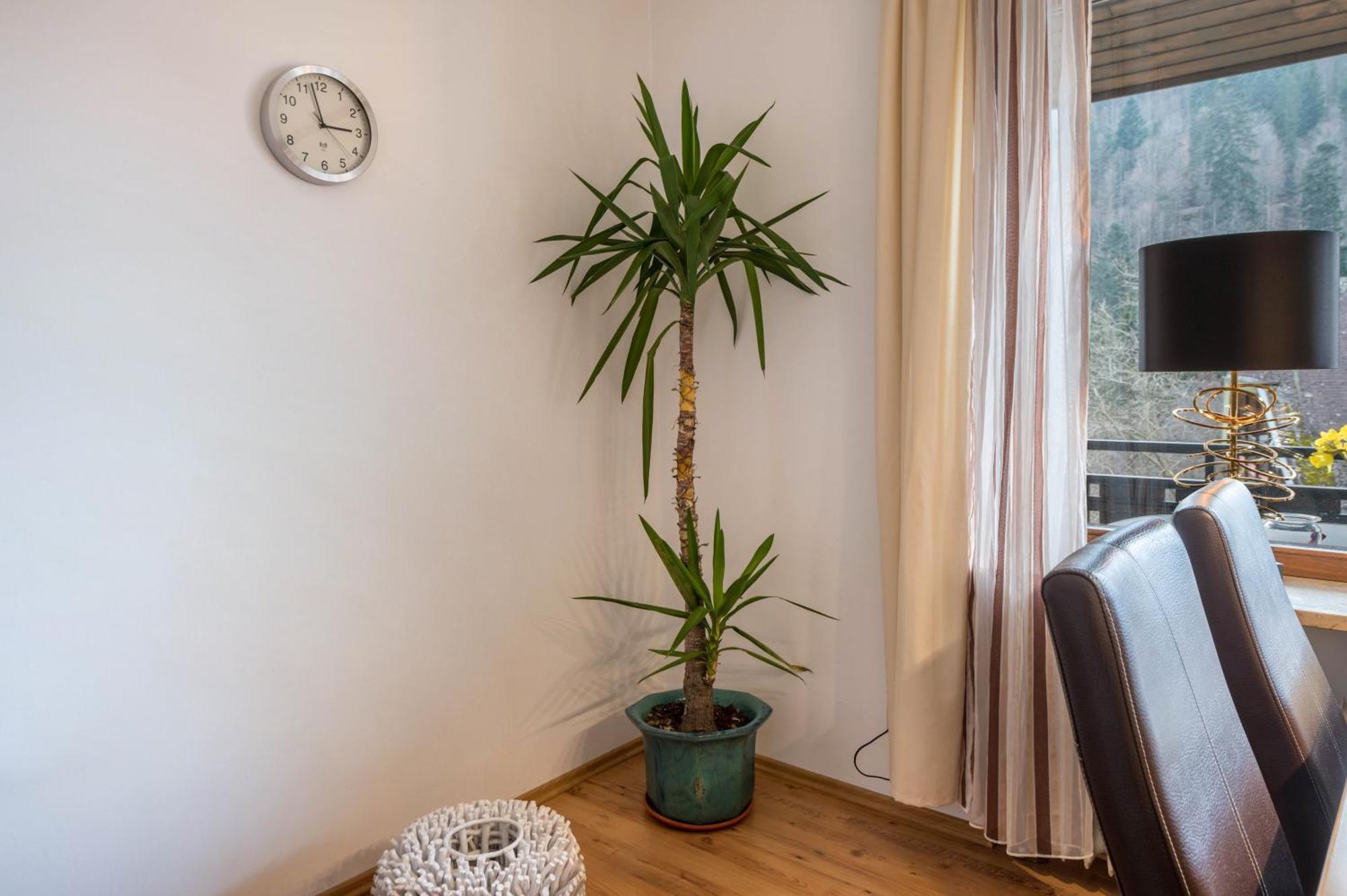 דירות טודמוס Haus Akelei מראה חיצוני תמונה
